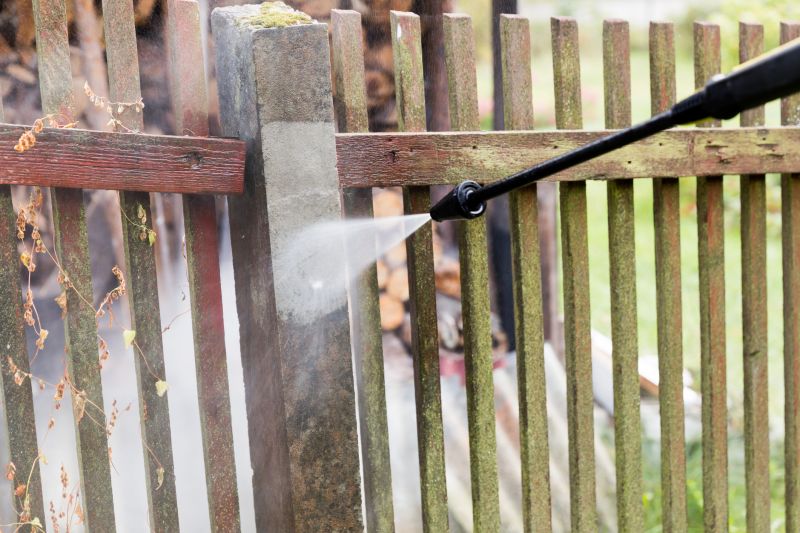 Iron Fence Cleaning