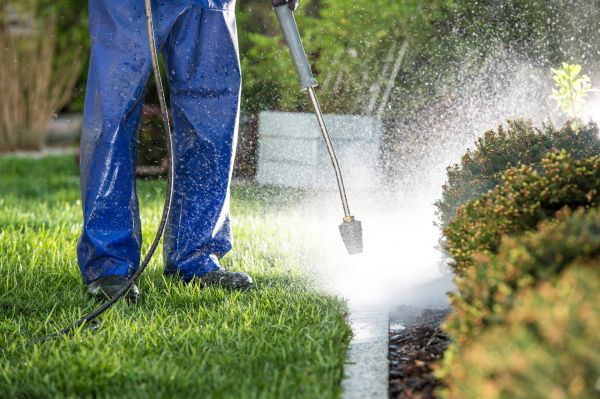 Cost of Curb Cleaning in Johnson City