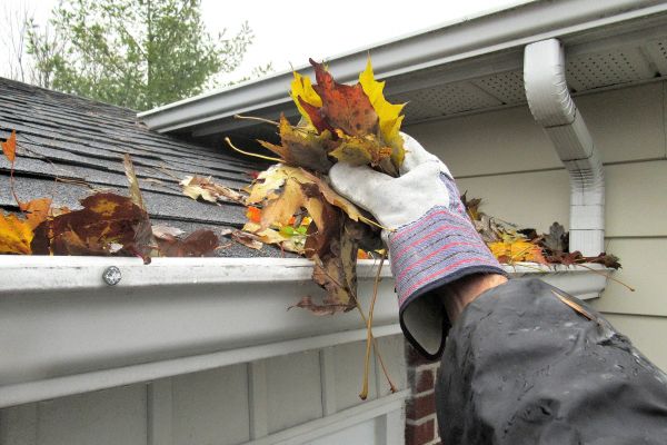 Eaves Cleaning in Johnson City
