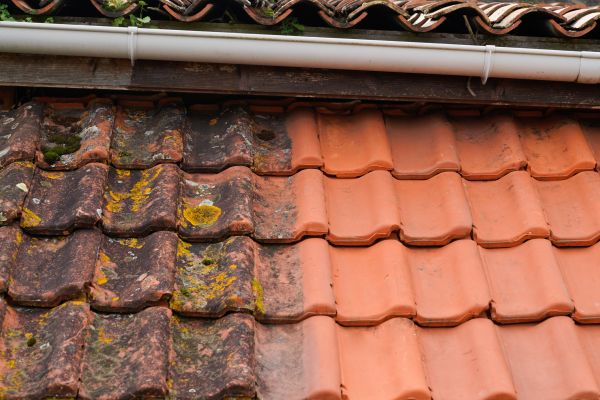 Industrial Roof Cleaning in Johnson City